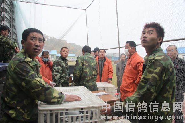 ��������ӡ��֮����������(ͼ)