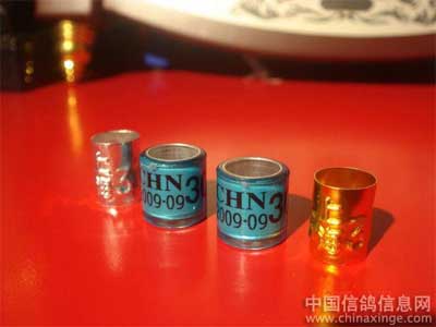 ���ͣ��Ϻ��＾�رȻ���д(ͼ)