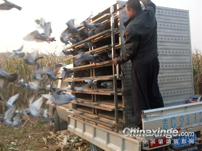 ����500�����رȹ��Ǿ��߷��ٹ鳲