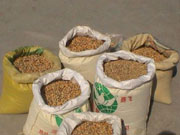 �����żҿ�������Ӱ