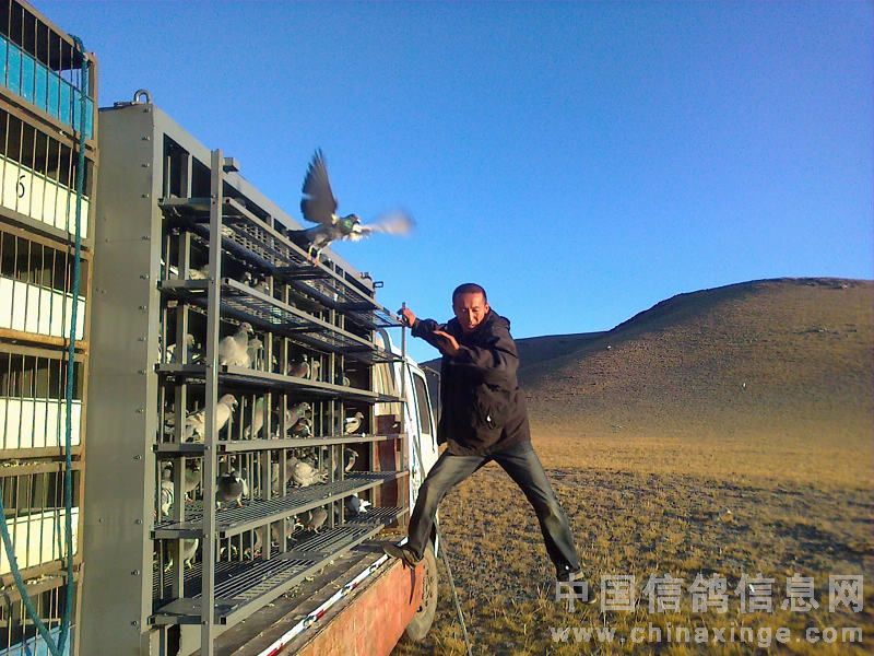 ���չ�8�� һ�˶����رȽ���