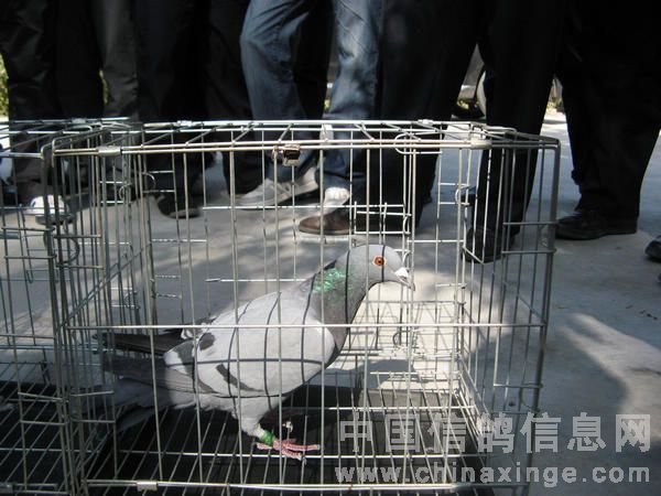 �½������ǹ������ȫ��(ͼ)