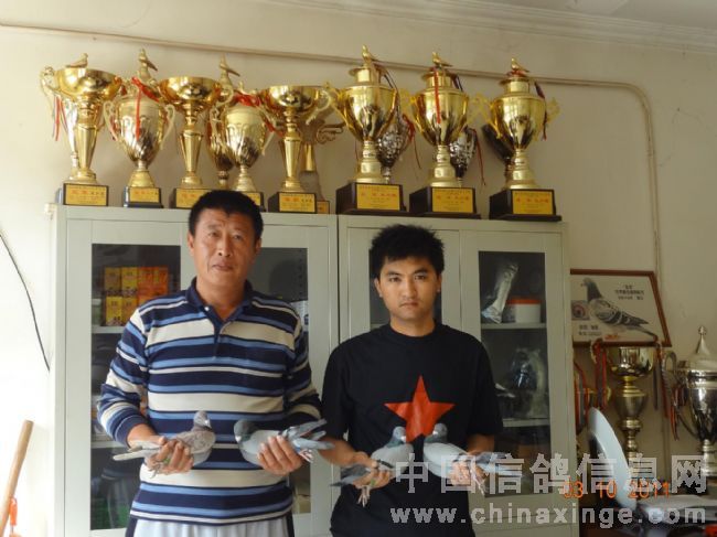 ��̨���300����ǰʮ����Ƭ