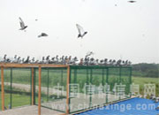 �Ϻ��������￪��ҷ�(ͼ)