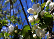 ��ů����ѵ��ʱ(ͼ)