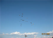 ��н����ƽ����һ��(ͼ)