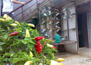 ���ݸ�����Ҹ���(ͼ)