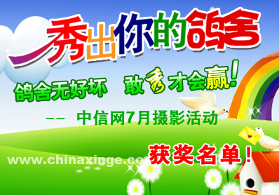 中信网“秀出你的鸽舍”摄影活动获奖名单公布