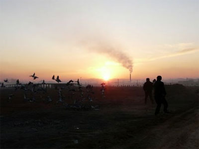 ���ϰ�������·��Э700��������ȫ��ͼƬ