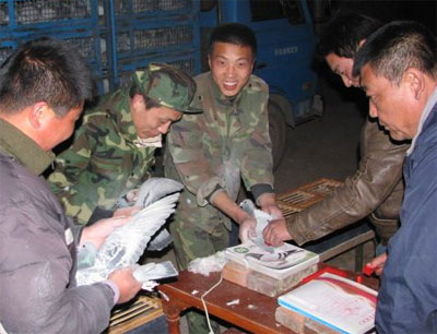 �������ǿ��յ�һ��180���Ｏ��ͼ