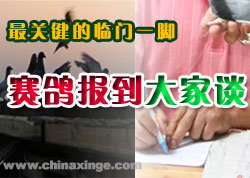 ר�⣺���뱨�����̸