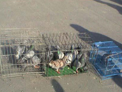 ��������������