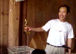 ��Ƶ����Ȥ��������