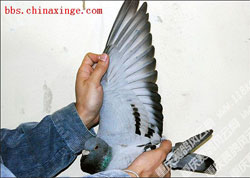 ���쳬�������ھ��ĵ���