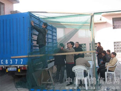 BOB����300���Ｏ���ֳ�