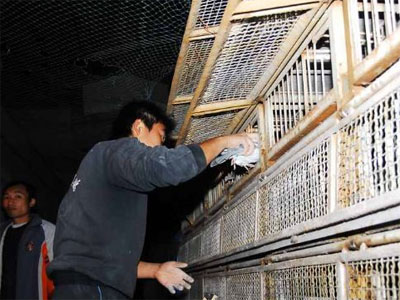 ������ѹ���Ԥ�������ֳ���Ƭ