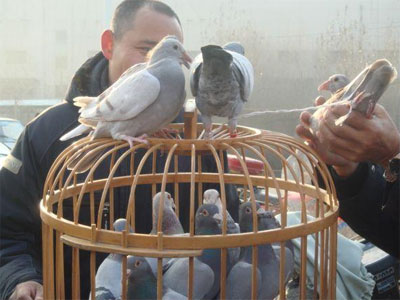 ����ʡ�������ж���д��(ͼ)