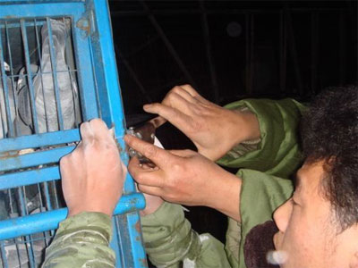 ��������Ϲ����һ�ؼ���ŷ�ͼƬ