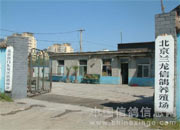 �����������������׸�ҷ�(ͼ) 