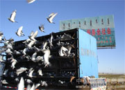 ɽ����������ֲ�505km�رȴ���(ͼ)