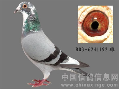 63��ĳ����ָ����ͼ