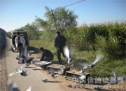 ���������ѵ��(ͼ)