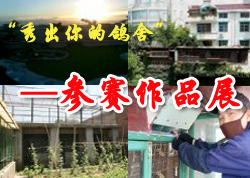 “秀出你的鸽舍”摄影月已截稿 参赛作品欣赏