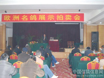 �����о���ŷ������������(ͼ)