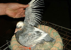 ���԰��ġ���⬸롱