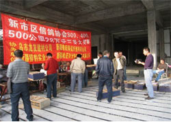 ��³ľ��������500���Ｏ��(ͼ)