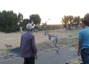 ���������ѵ��(ͼ)