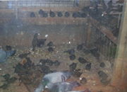 ˭���Ҽ�����ࣿ��