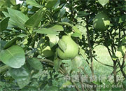 ������Դ֮������(ͼ)