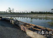 ����������֯��ѵ(ͼ)