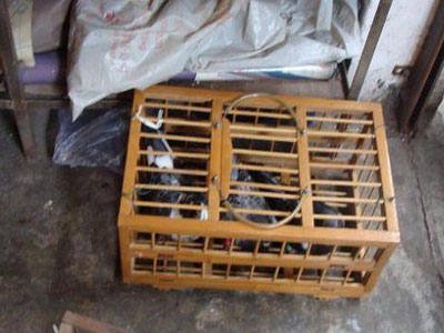 ��ͷ�潭�ֻ��Ԫվ����ǰʮ��