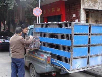 ����潭����09�괺ѵ��ɽ���뻨��