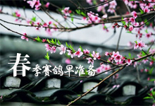 ����������׼��