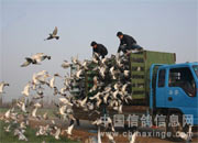 �����л����Ÿ�Э�ᾣҦվѵ��(ͼ)