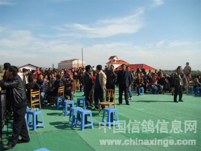 �żҿڴ��Ź���400�����Ÿ�鳲Ƭ��