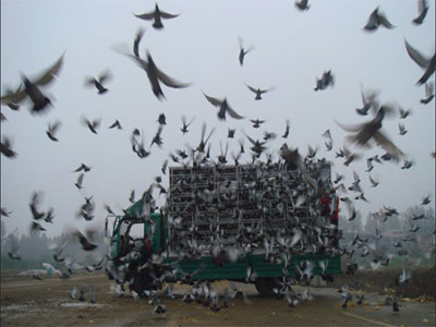 ���ڷŸ복���İ���