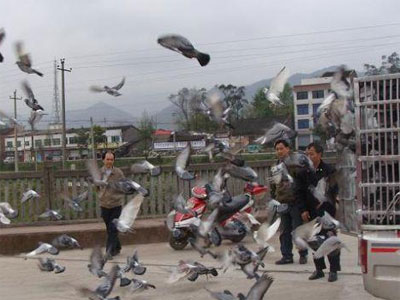 ����ᶼ�������ֲ�09�괺ѵ�潭����