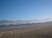 ��³ľ�����رȻ������ŷ�ͼ