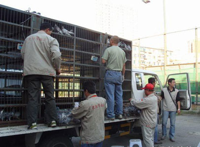 �����＾230���Ｏ�루ͼ��