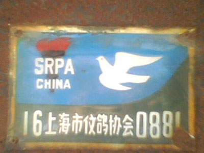 �����ϸ��Ѽ�ʮ��ǰ�����