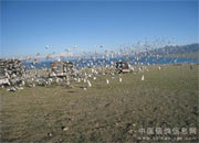 ��³ľ���Э�ڶ���500����ŷ�(ͼ)