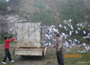 ������Ǹ�Э��2վ80����ѵ��(ͼ) 