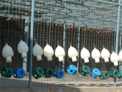 ��ˢһ�µ�¡������