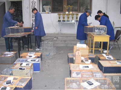 ������̨����رȻ������ֳ���Ƭ