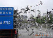 һ�������ѵ��(ͼ)