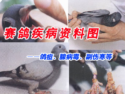 ���뼲������ͼ